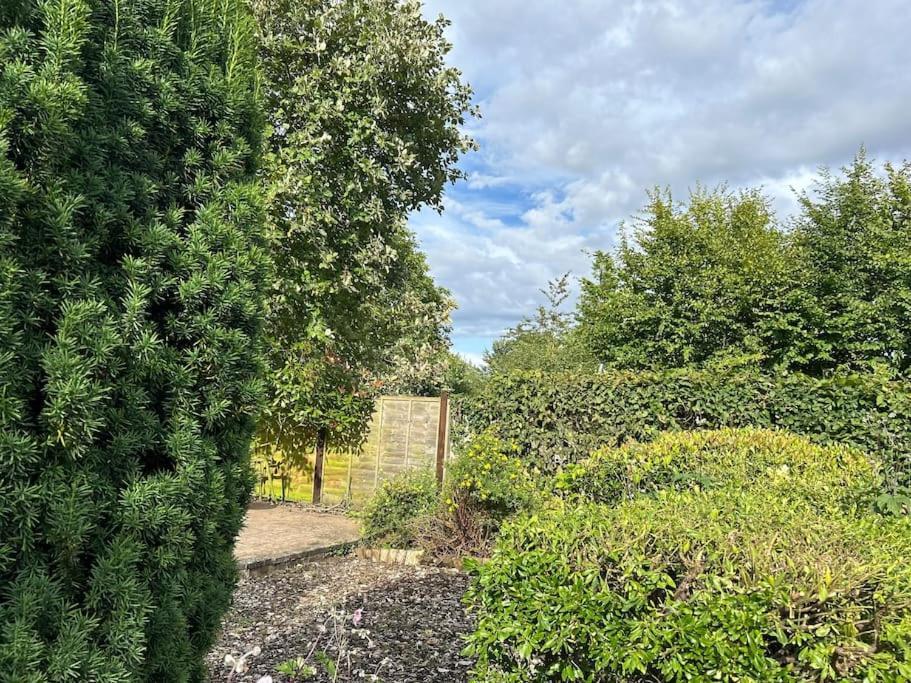 Abacus Cottage Whitwell-on-the-Hill エクステリア 写真